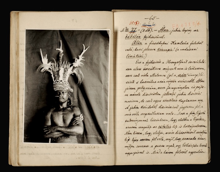 Álun jabim legény oa-balan fejdísszel. In Bíró Lajos: Kutatóutak során készített helyszíni felvételekkel kapcsolatos jegyzetek. 1896-1902, Új-Guinea, kézirat, Néprajzi Múzeum; EA 4718/A 65.o.