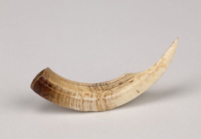 Tusk Scraper, NM 65612, Tami Islands, Papua New Guinea, 1890s