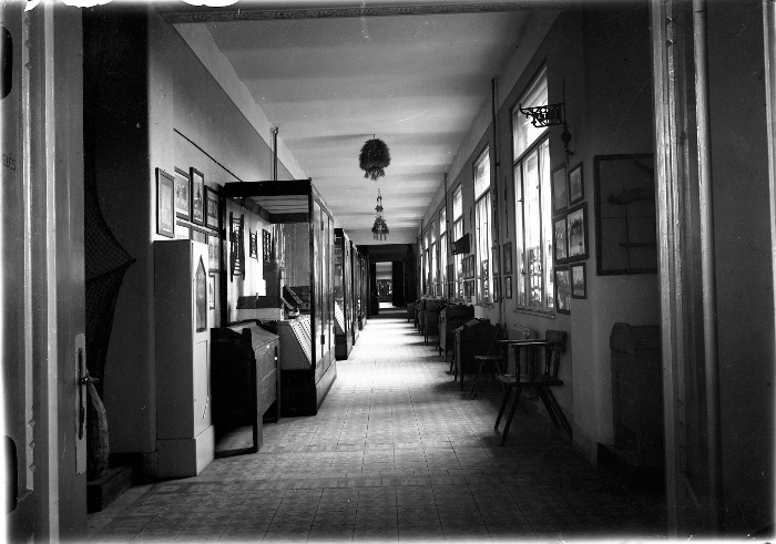 Magyar állandó kiállítás részlete az egykori gimnázium épület folyosóján (1925-1930)
