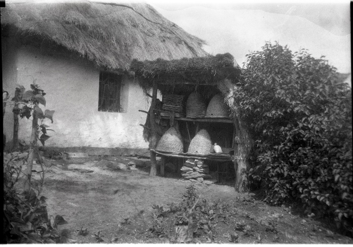 Méhkasok (F60429) Gönyey Sándor, Kisgyőr, 1929