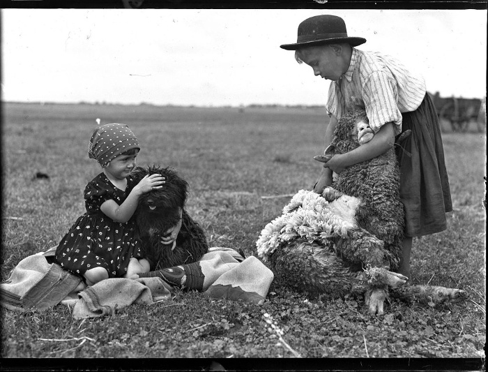 Birkát nyíró fiú, mellette kislány pulival. Hortobágy, 1920-1930-as évek. Balogh Rudolf felvétele.Fekete-fehér üvegnegatív, 9×12 cm. Néprajzi Múzeum, F 156324