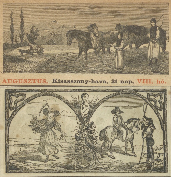 3. A Müller (1853) és a Méhner (1922) féle kalendárium augusztusi hónapképei