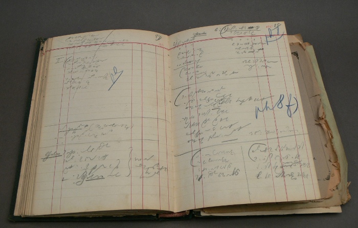 Vikár Béla gyorsírásos gyűjtőfüzete. NM EA 30909